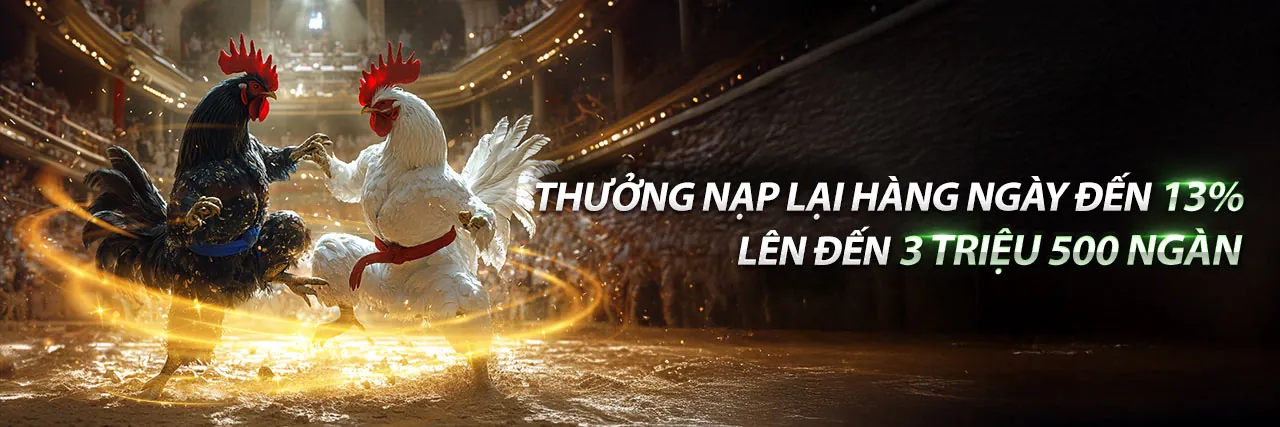 Hình ảnh tổng quan về cá cược trực tuyến tại sumvip nhà cái